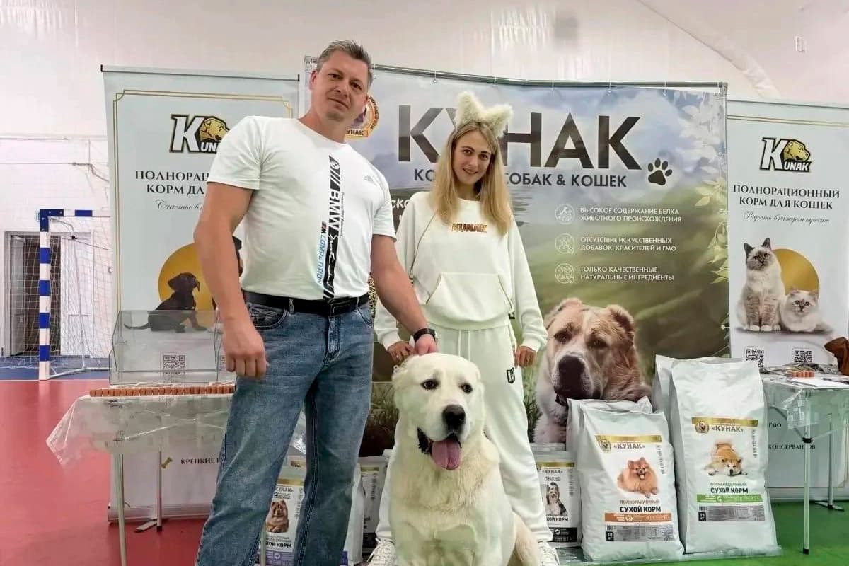 В Липецке на выставку собак пришли более 50 любителей