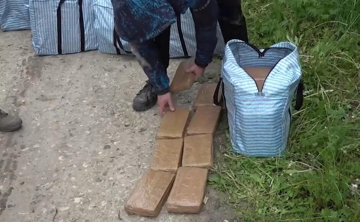 В Подмосковье изъяли более 300 кг кокаина