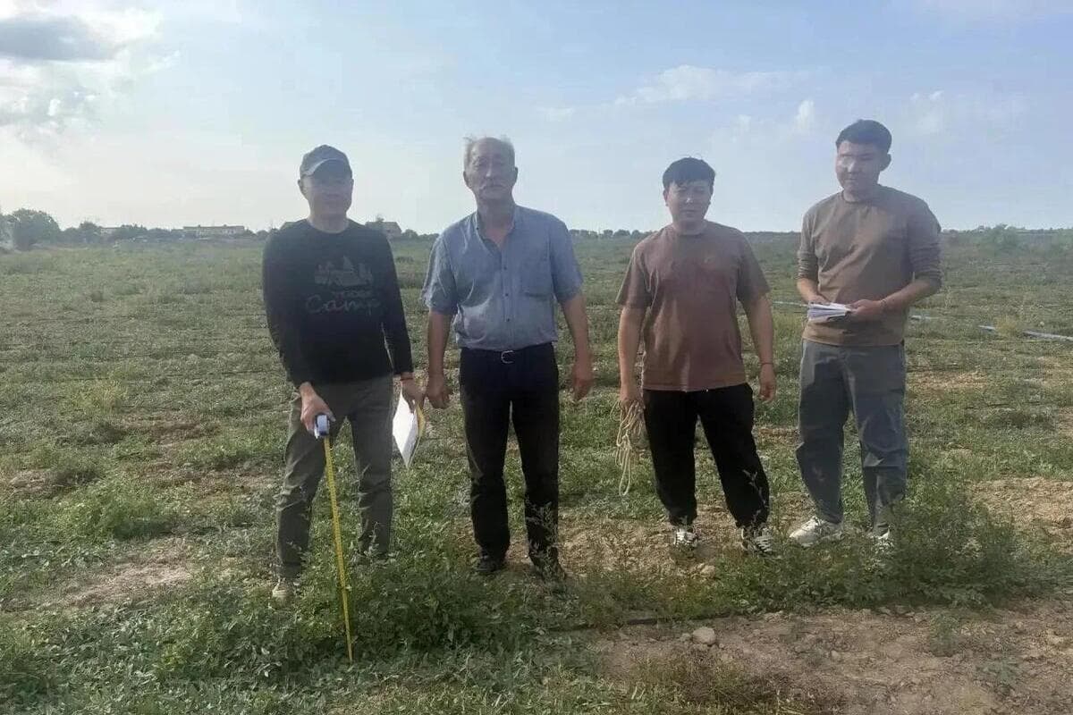 В районе Калмыкии проверили качество саженцев для восстановления лесов
