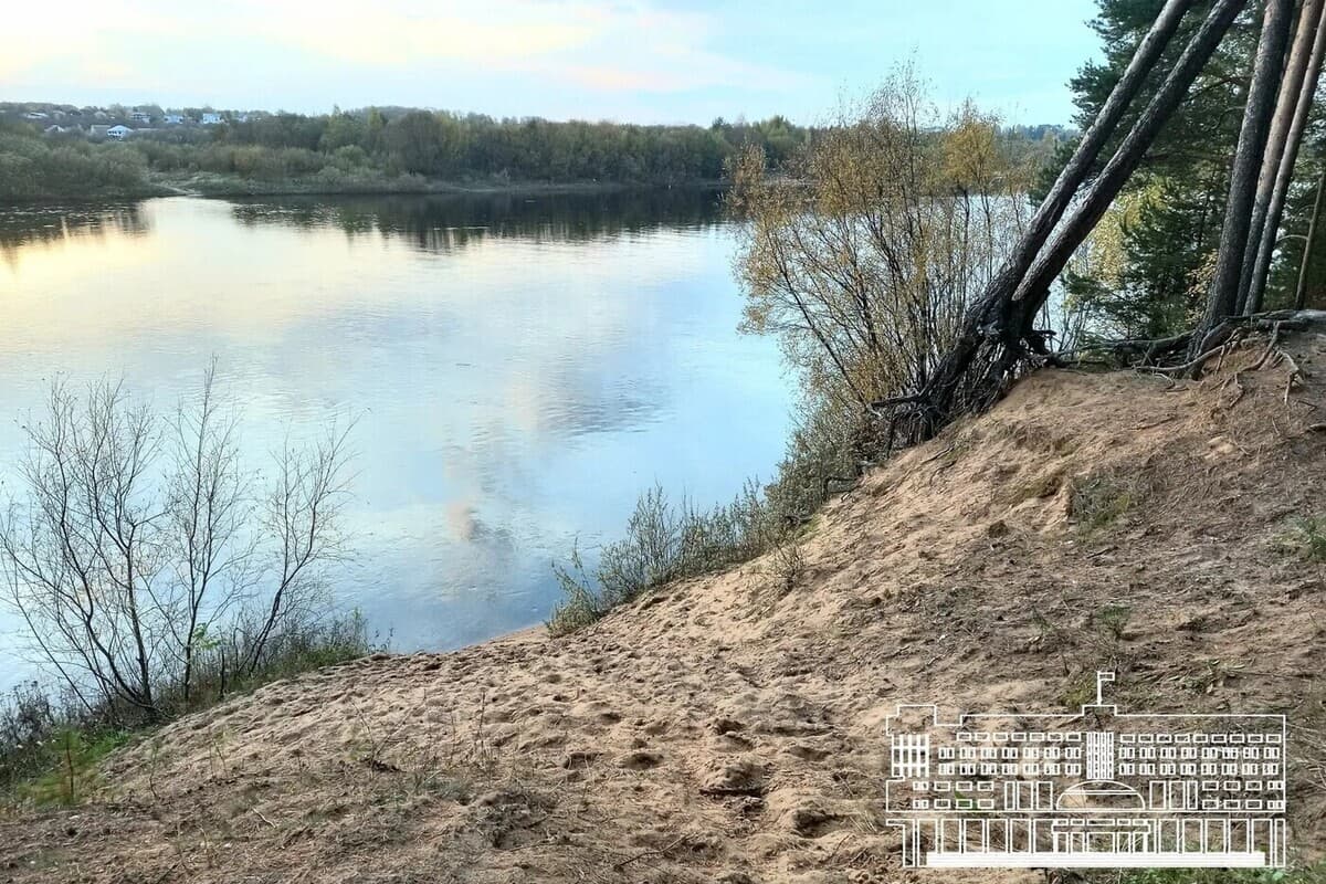 В Вельске осудили отца годовалого ребенка, утонувшего на прогулке