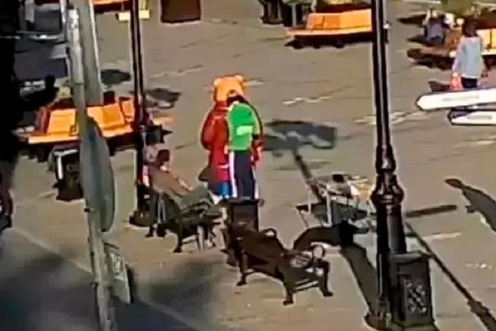 В Ярославле вычислили мужчину, который разрисовал медведя на Депутатской