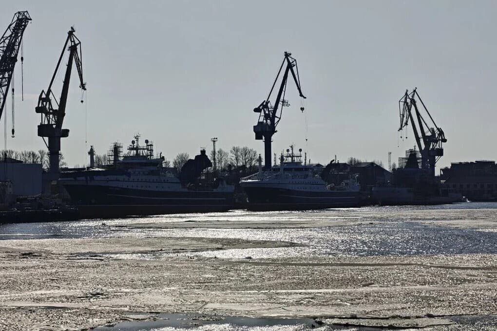 Морской порт Петербурга объявил конкурс на вывоз и утилизацию отходов за 32 млн