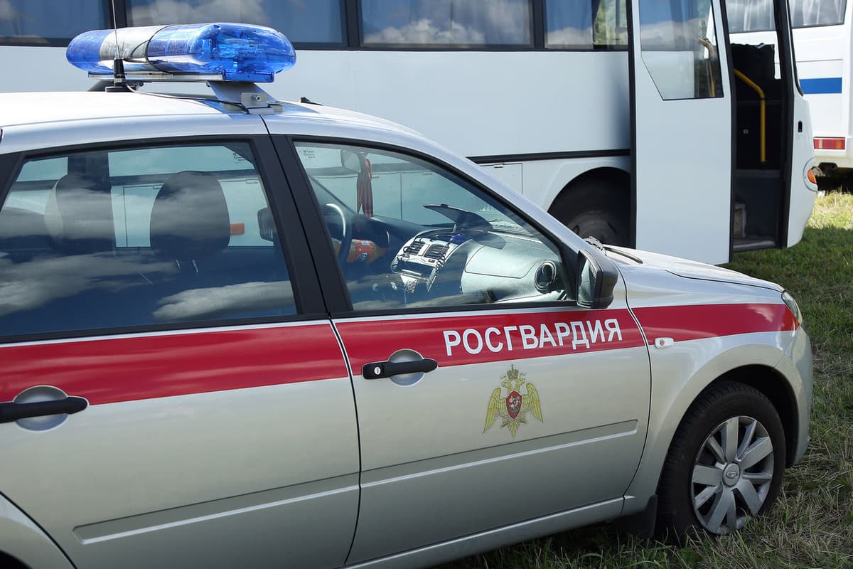 Трое россиян устроили драку в клубе и напали на росгвардейцев