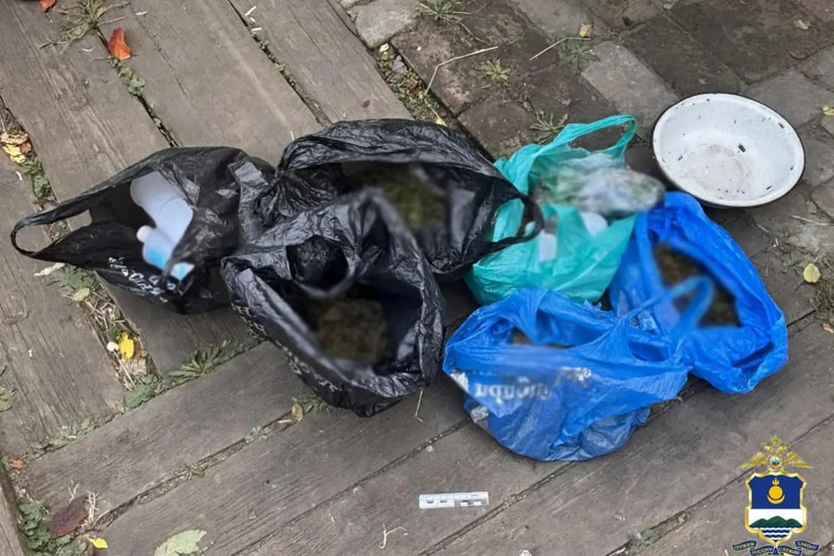 В Бурятии в селе Жемчуг пресечено хранение наркотических средств в крупном размере