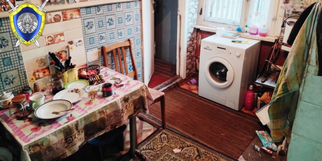 Житель Кричева приехал в деревню на заработки и жестоко убил пенсионерку
