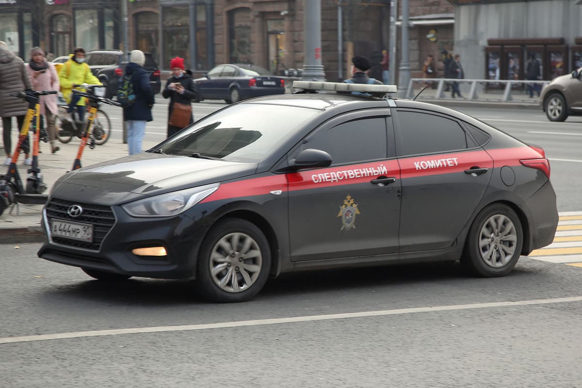 Уголовное дело завели после нападения 12-летней девочки на детей