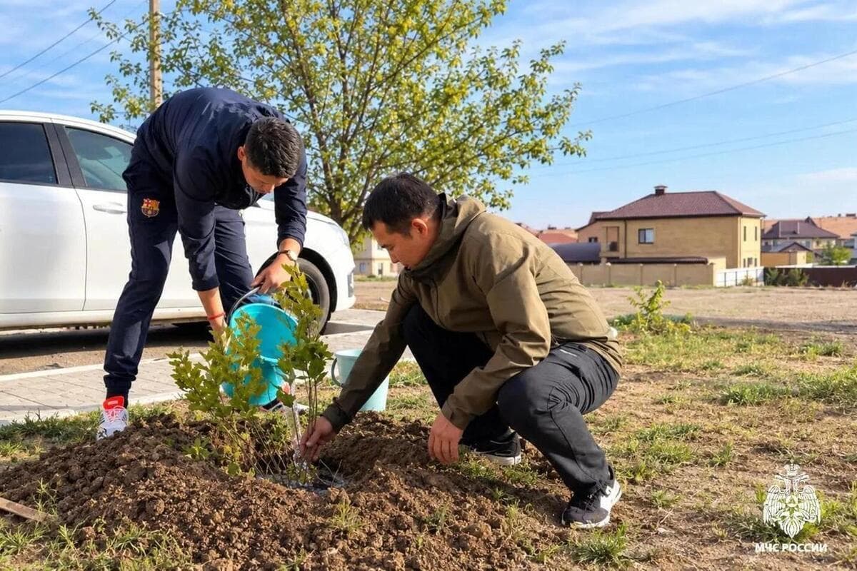 Сотрудники МЧС Калмыкии высадили деревья в честь векового юбилея пожарной охраны