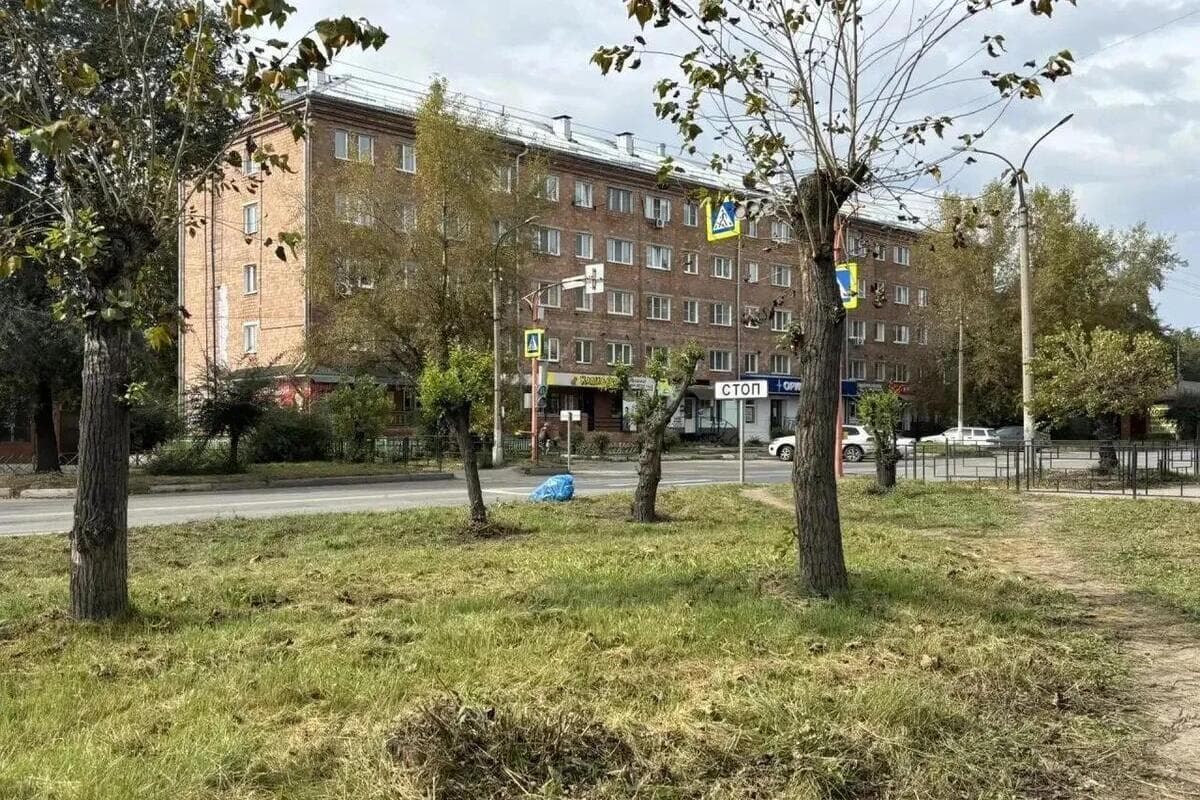 Черногорские чиновники устроили уборку в городе