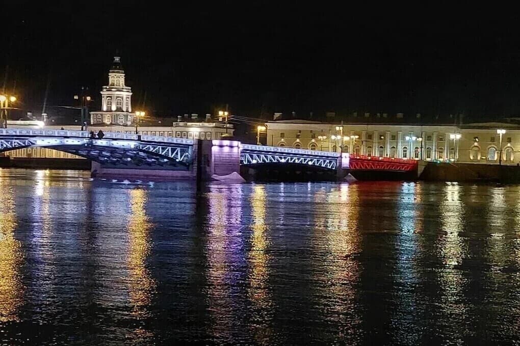 Три моста Петербурга окрасили в цвета Росгвардии в честь их 10-летия