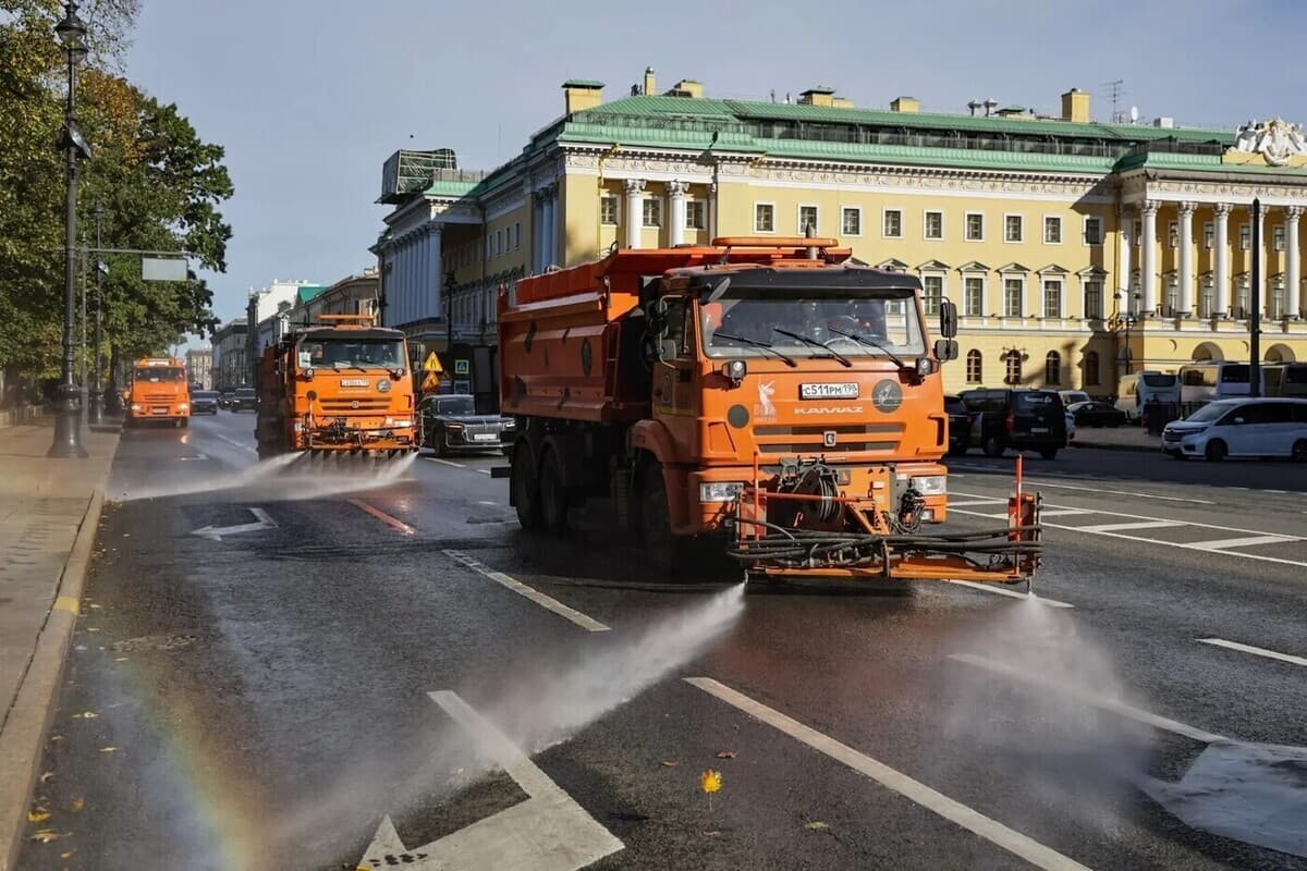 В Петербурге начали собирать «остатки» лета и готовить город к зиме