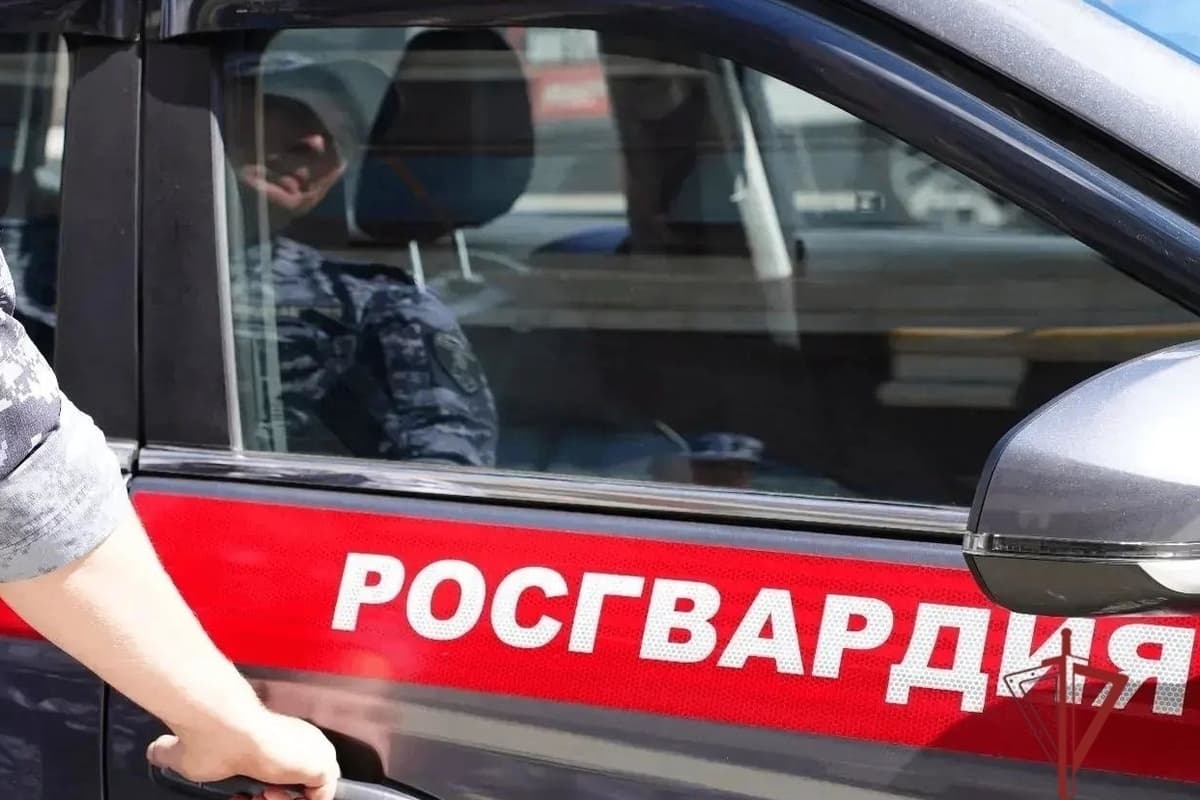 Пензенские росгвардейцы показали студентам медколледжа вооружение и бронеавтомобиль «Тигр»