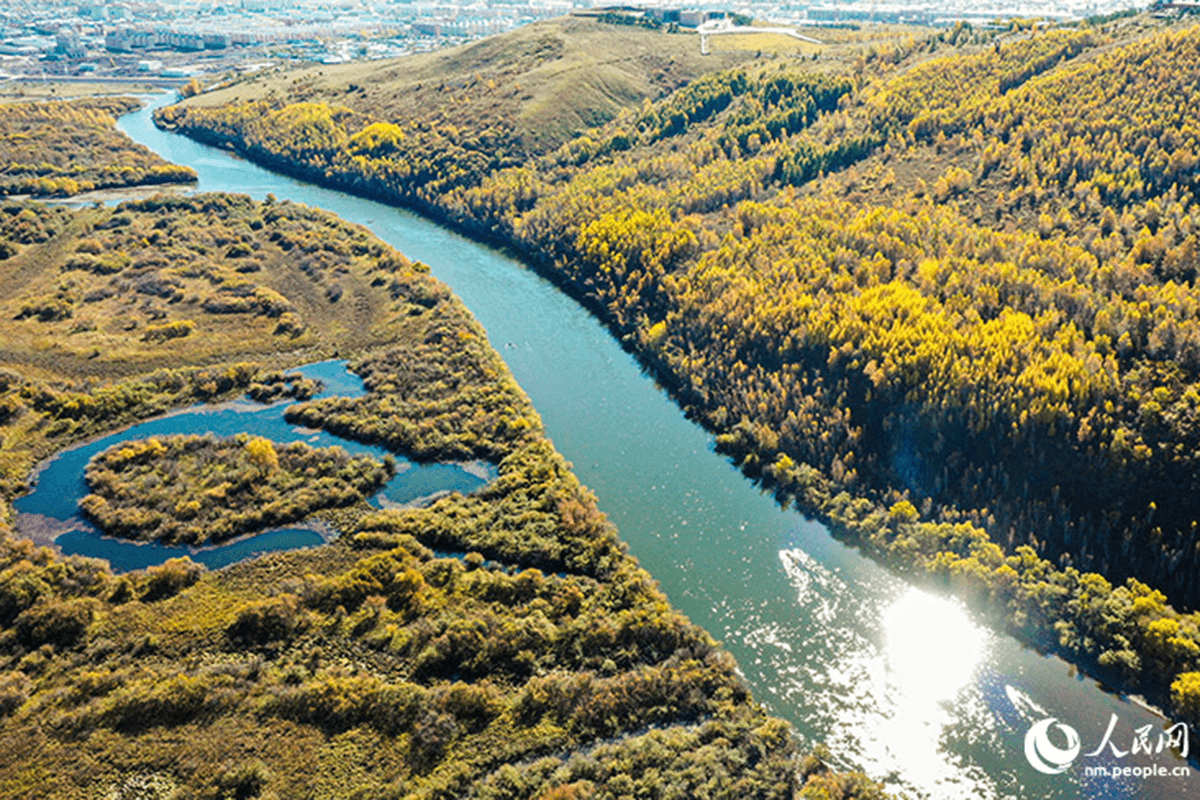 Фотофакт. Золотая осень на водно-болотных угодьях реки Аргунь в Китае