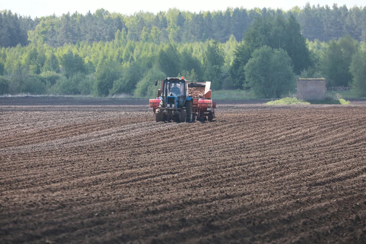 In the coming days, the weather will allow maintaining a good pace of harvesting — Belhydromet