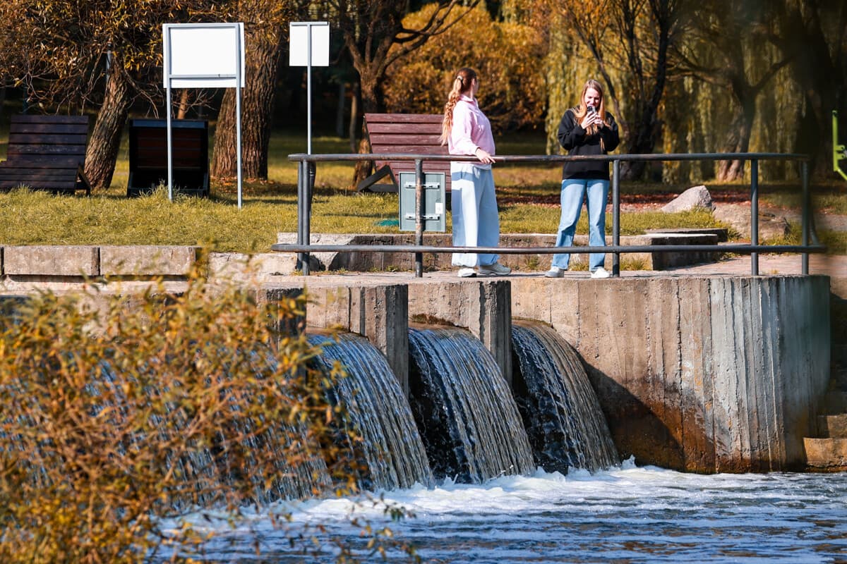 Кактусы, автокросс и День города Пинска: куда сходить в Минске и других городах Беларуси 3 и 4 октября