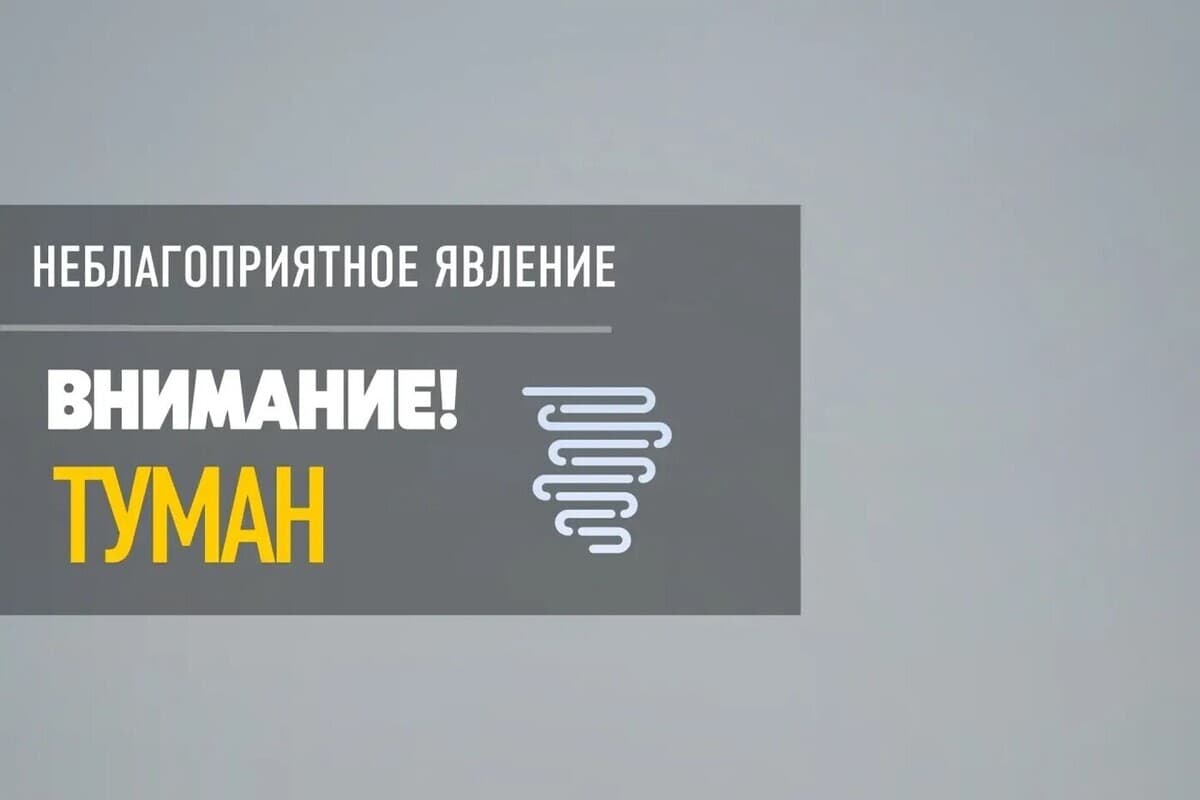 Туман с видимостью до 500 метров ожидается в Псковской области 3 октября