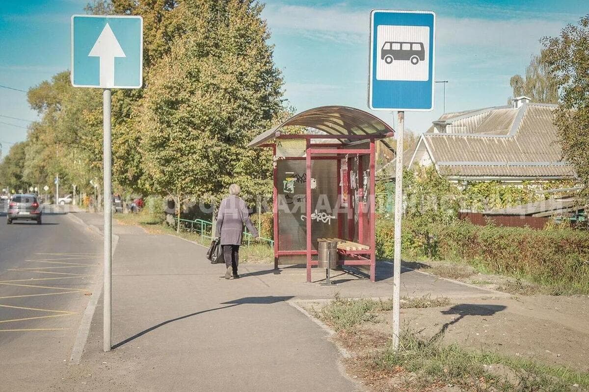 В Брянске на улице 2-й Мичурина установят три дополнительных светофора