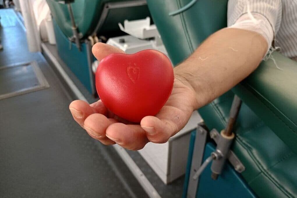 Пензенский кардиолог рассказала о пяти продуктах для здоровья сердца