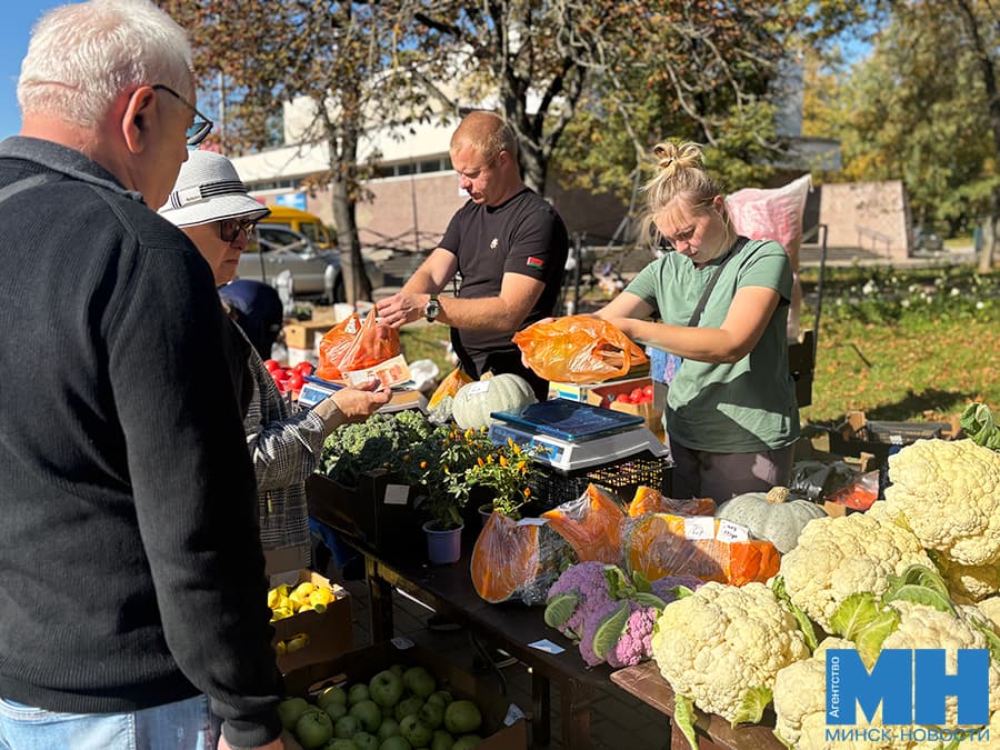 От хрустящей квашеной капусты до вкусного меда. Что почем продают на ярмарке в Центральном районе