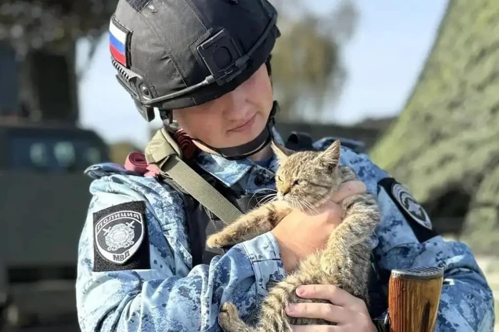 В Курской области на посту полиции поселился кот Тигр
