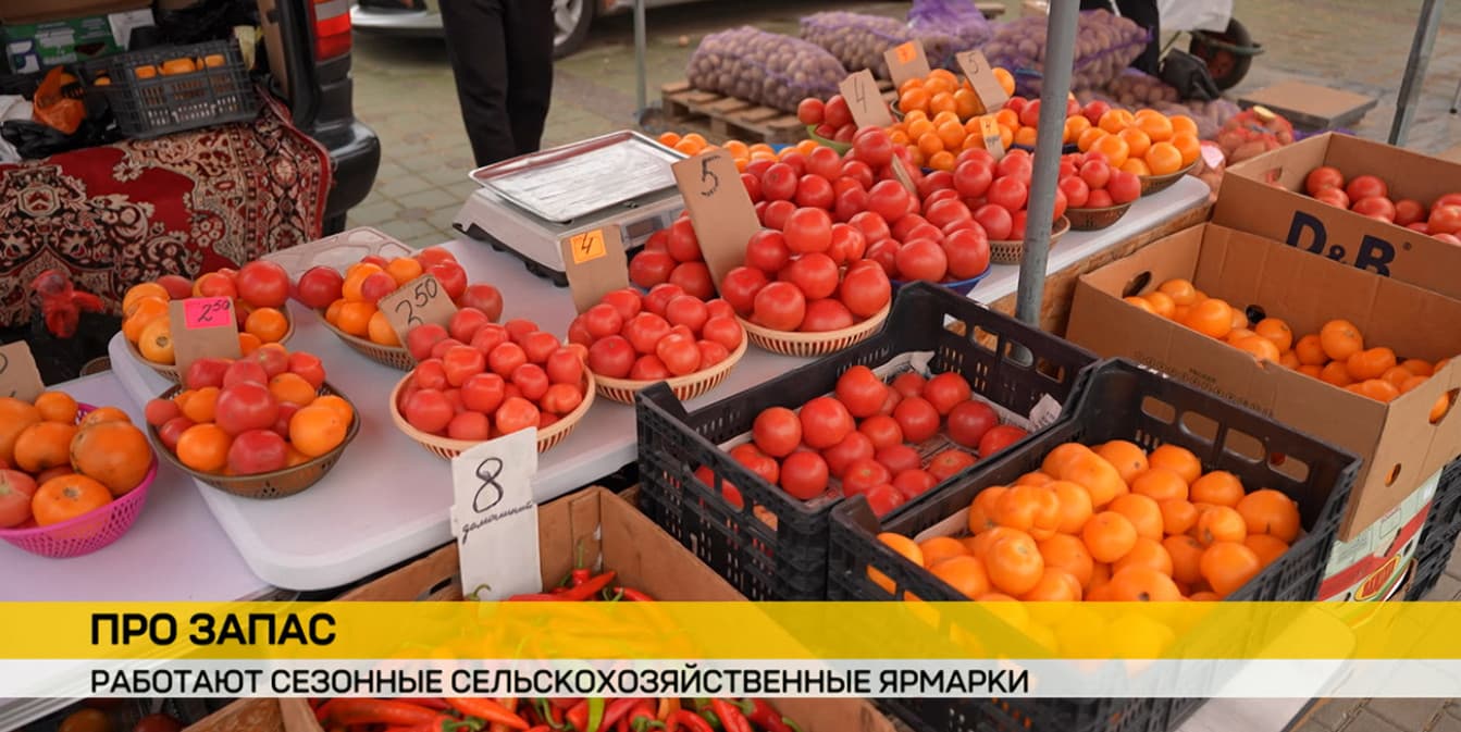 Выгодно и удобно: сезонные ярмарки проходят в Минске – продукты, цены, доставка