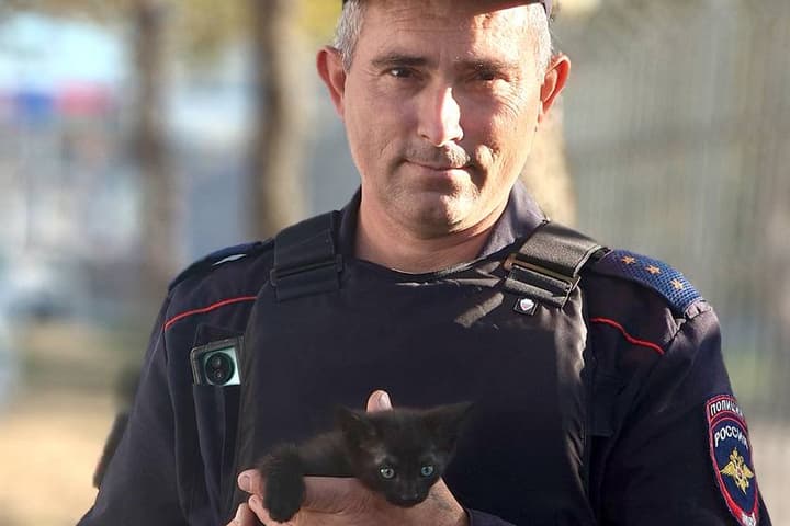 In Anapa, the kitten became the mascot of the interior Ministry
