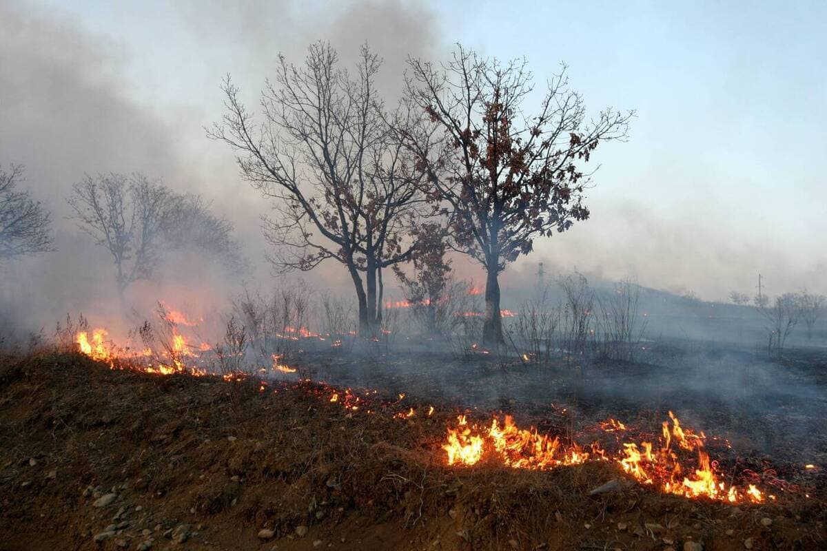Storm fire in the Khabarovsk Territory managed to localize