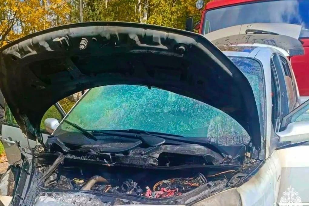 In the Pochinkovo district, the driver and eyewitnesses were able to save a fire car