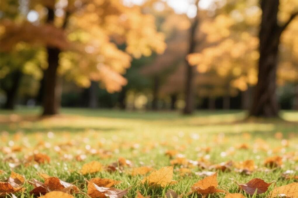 In Zaporozhye October 5 is expected to +21 degrees