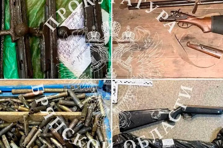 In Bryansk 69-year-old man will be convicted of possession of weapons and explosives