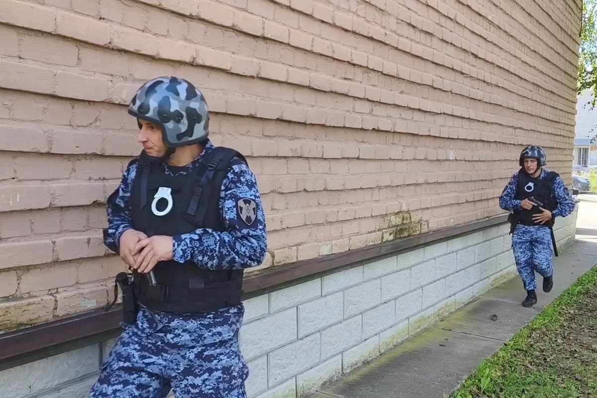 Alcoholists have intensified: a series of thefts in Pskov and Veliky Lukes are being studied by law enforcement officers