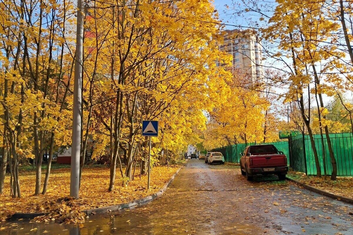 Devenu conscient de la météo dans la capitale du Nord