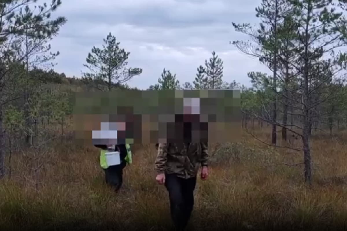 In the Klichevsky district, a woman was lost in the swamp – rescuers needed help