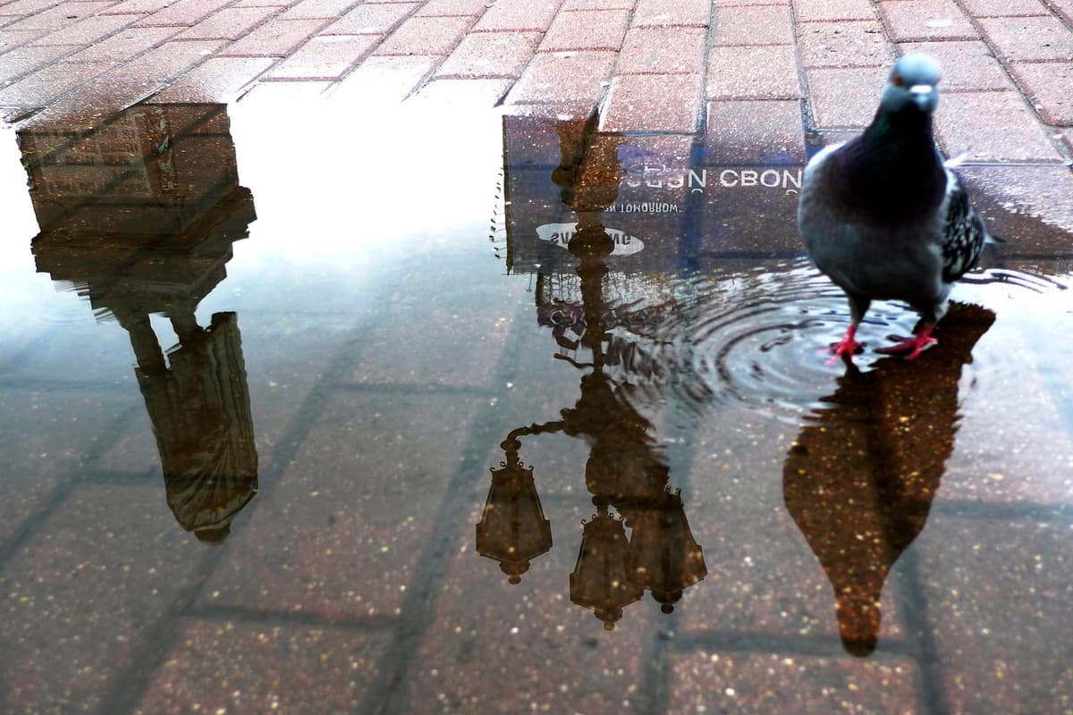 Forecaster sagte, wer schlechtes Wetter erwartet