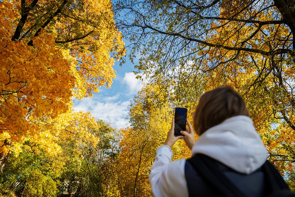 Weather in Belarus on October 7: mostly without precipitation, weak fog and up to +22 ° C