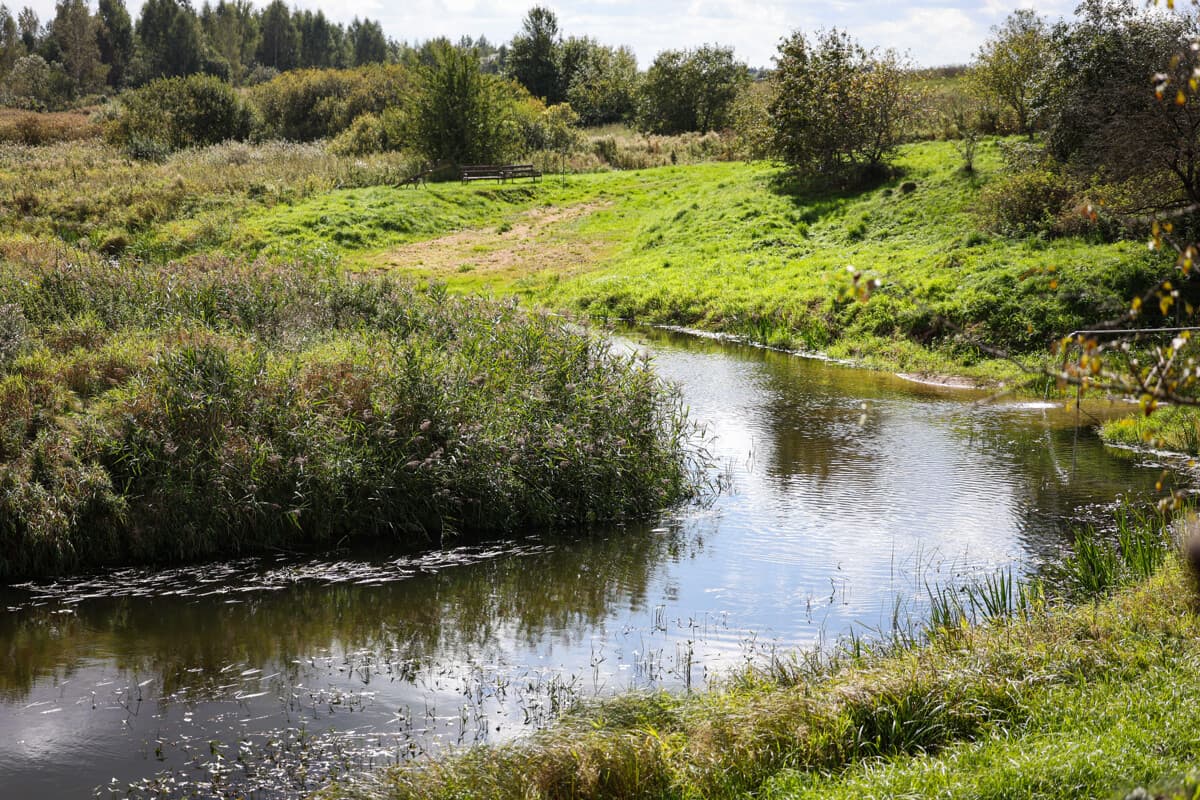 Springs on Plis in Tolochinsky district declared a hydrological monument of nature