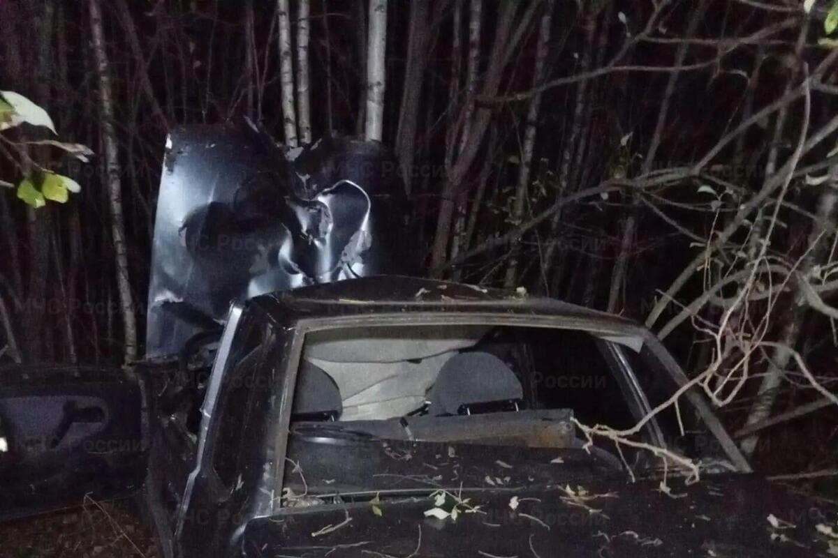 Fatal accident in Krasnobakovo district: one person died