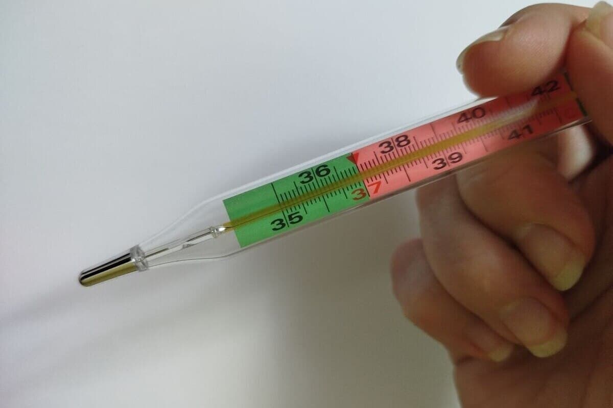 Los norteños recordaron los peligros de viajar para trabajar con la gripe