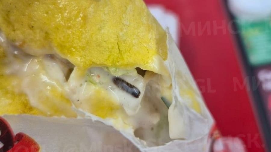 Una larva en shawarma, una cucaracha en un café y una sorpresa de Kommunarka. El servicio de salud revisó las denuncias en la Red