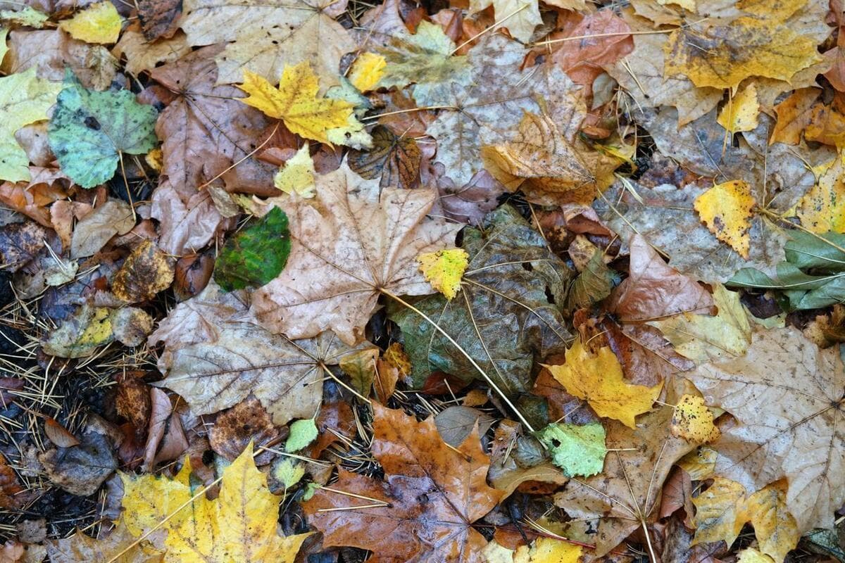 In the southern Urals on Wednesday is expected to rain and strong wind