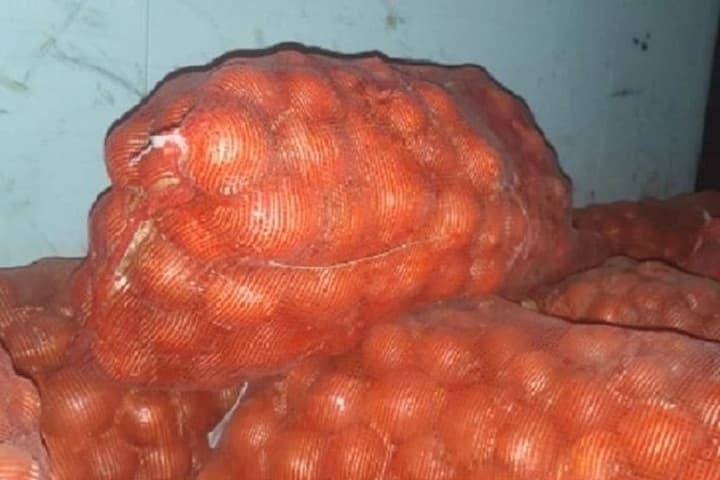 More than 20 tons of onions from Kazakhstan were not allowed in the Altai Territory