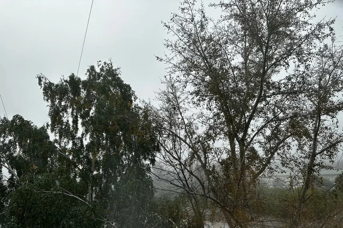 Le brouillard et un peu de pluie sont attendus le 7 octobre