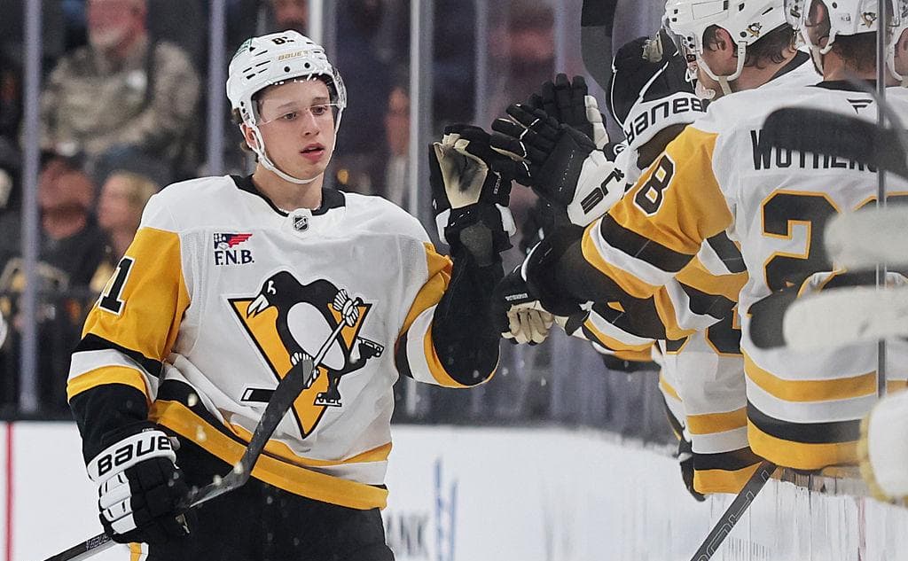 Malkin's club explain why they turned the plane around because of the 19-year-old