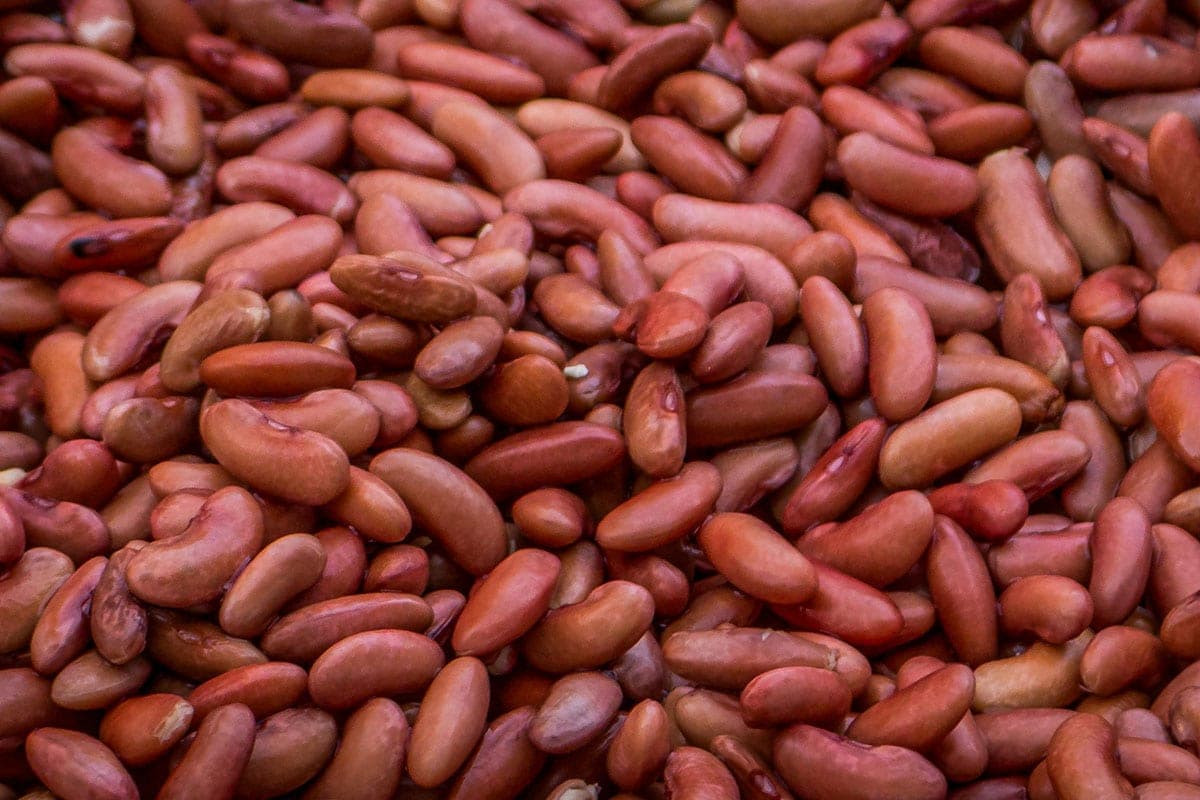 Is Canned Beans a Superfood or a Food to Avoid?
