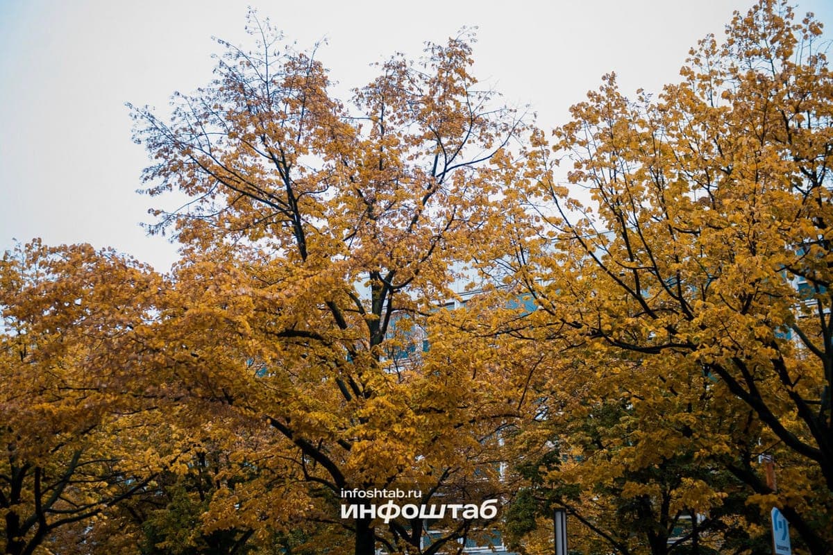 In the Ulyanovsk region on October 8 will warm up to +18 degrees