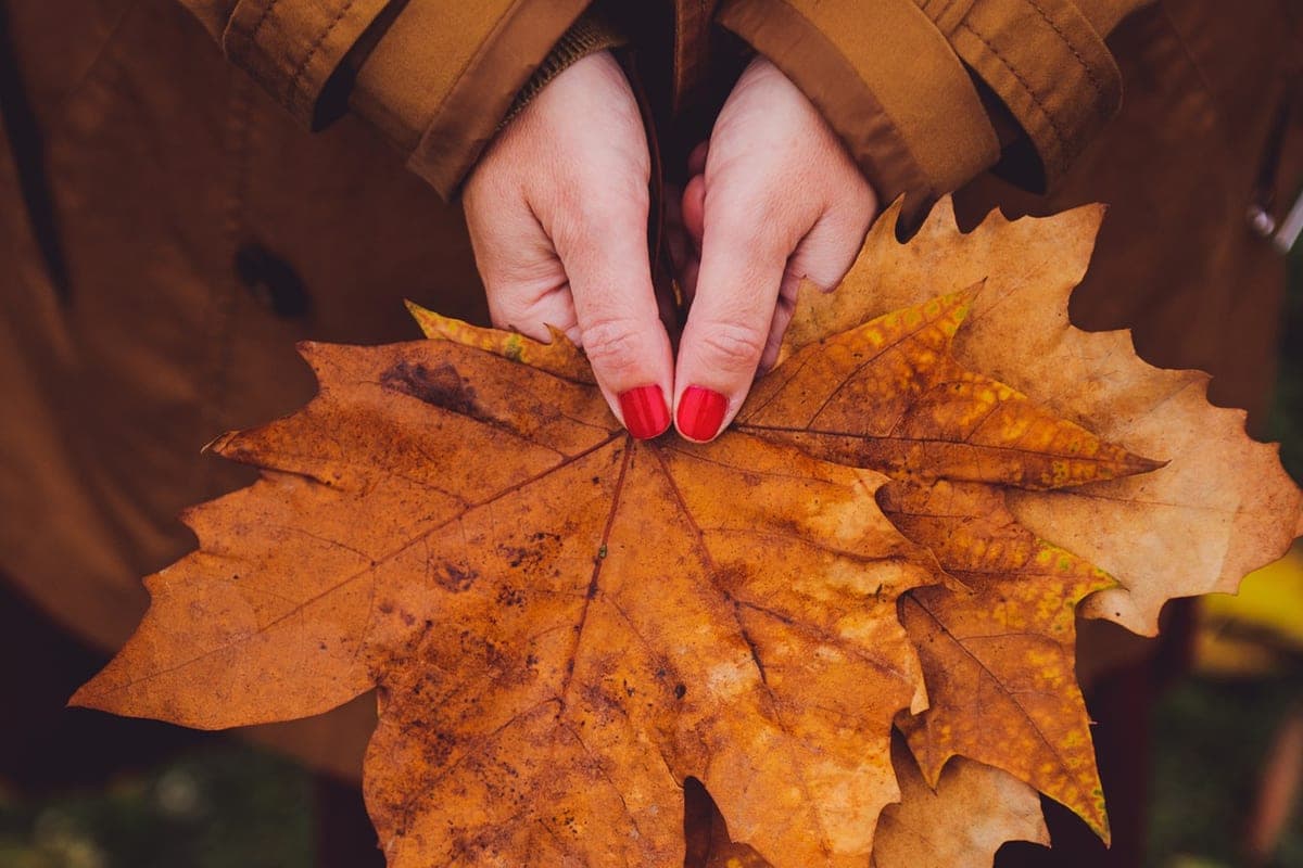 October 8 in the Zaporozhye region the air will warm up to +23 degrees