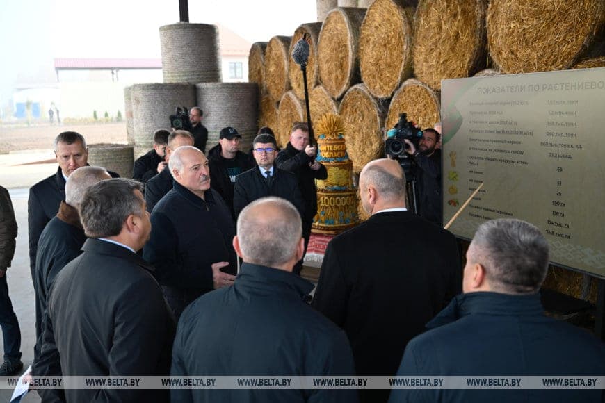 Президент: в Беларуси спасли сельское хозяйство, но надо двигаться дальше
