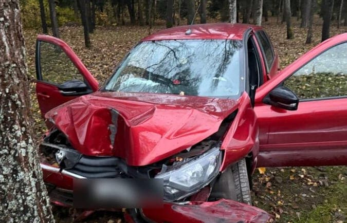 The car flew from MKAD and crashed into a tree