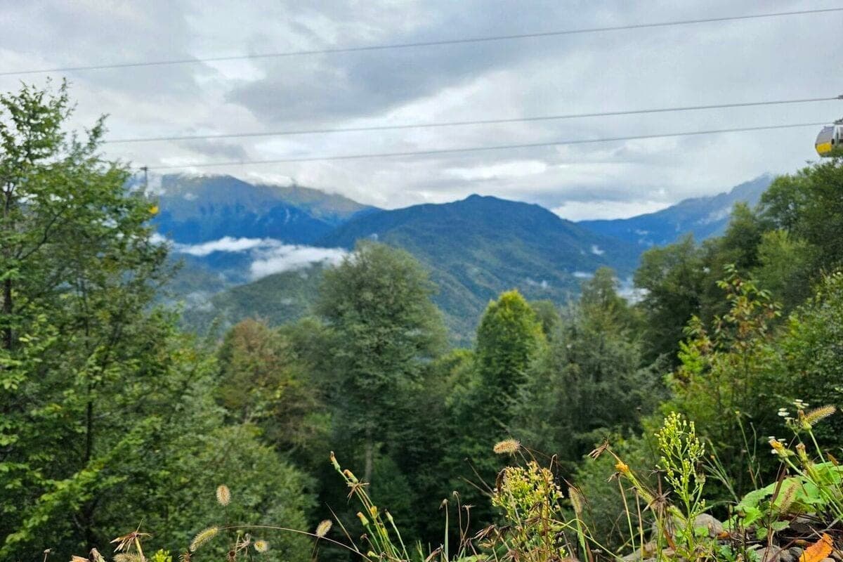 The Caucasian reserve ends the season: which routes in the mountains of Sochi are still available to tourists