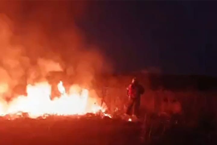 In Tarus, rescuers stopped the fire on the banks of the Oka