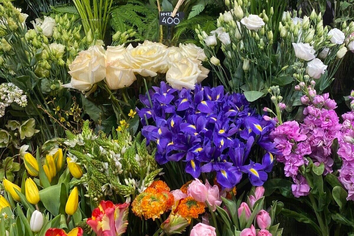 More than two thousand flowers from the Netherlands doomed to destruction due to thrips
